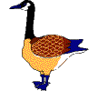 It's Xmas Goose!