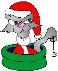 It's Xmas Kat